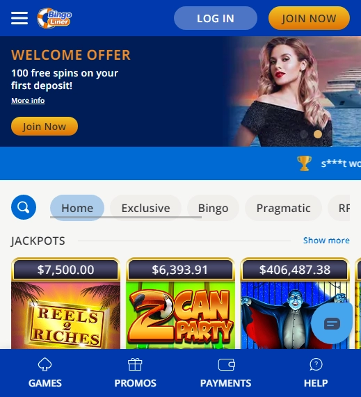 Bingo Liner Casino